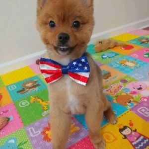 Meet your Posher, Michael